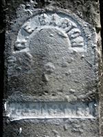 Barton, G. E. and Polena
